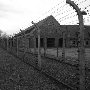 kl-auschwitz-i-view-as-entering-camp-across-electric-fence_360037391_o.jpg