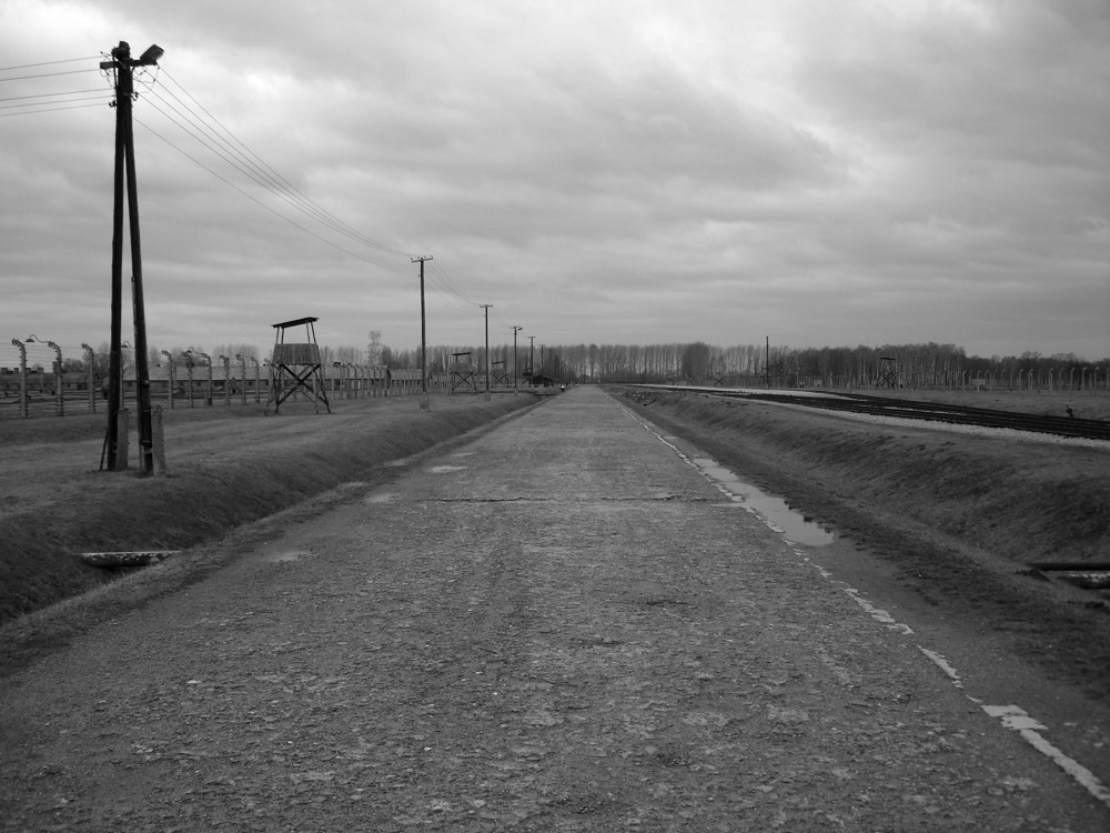 KL Auschwitz II-Birkenau: The main road to the crematoria and gas chambers.