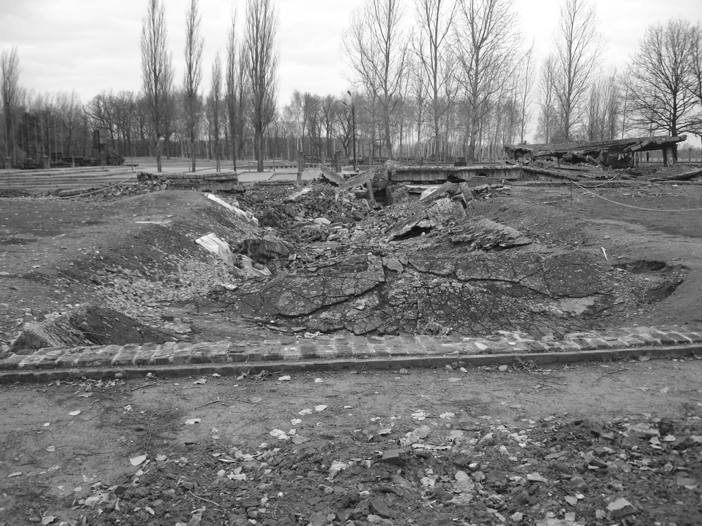 KL Auschwitz II-Birkenau: This is the collapsed gas chamber, which was situated underground.  